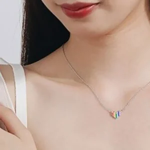 Delicate Rainbow Colorful Heart Halsband 925 Silver<VSmycken New